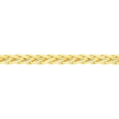 Collier Jany Maille Palmier Or Jaune - Chaines Femme | Marc Orian