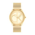 Montre Calvin Klein Iconic Mesh Champagne - Montres &eacute;tanches Femme | Marc Orian