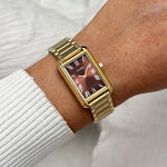 Montre Cluse Belisenna Marron - Montres &eacute;tanches Femme | Marc Orian