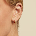 Cr&eacute;oles Gianna Plaqu&eacute; Or Jaune Oxyde De Zirconium - Cr&eacute;oles Femme | Marc Orian