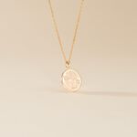 Collier Iago Plaqu&eacute; Or Oxydes De Zirconium - Colliers avec pierres Femme | Marc Orian