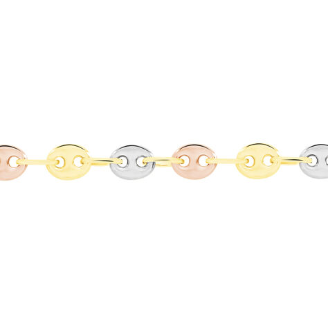 Collier Maille Dami Maille Grain De Cafe Or Tricolore - Chaines Femme | Marc Orian