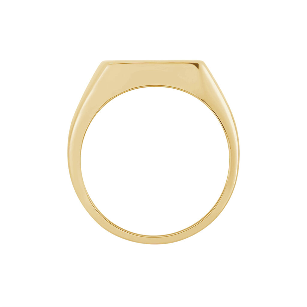 Chevalière Kauai Plaqué Or Jaune Pierre De Synthese - Chevalières Homme | Marc Orian
