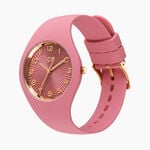 Montre Ice Watch Champagne - Montres &eacute;tanches Femme | Marc Orian