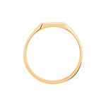 Chevali&egrave;re Daniel Plaqu&eacute; Or Jaune - Bijoux personnalis&eacute;s Homme | Marc Orian