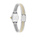 Montre Calvin Klein Ck Contemporary Vert - Montres &eacute;tanches Femme | Marc Orian