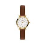 Montre Fossil Carlie Mini Blanc - Montres &eacute;tanches Femme | Marc Orian