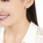 Boucles D'oreilles Puces Clavie Or Blanc Diamant - Puces Femme | Marc Orian