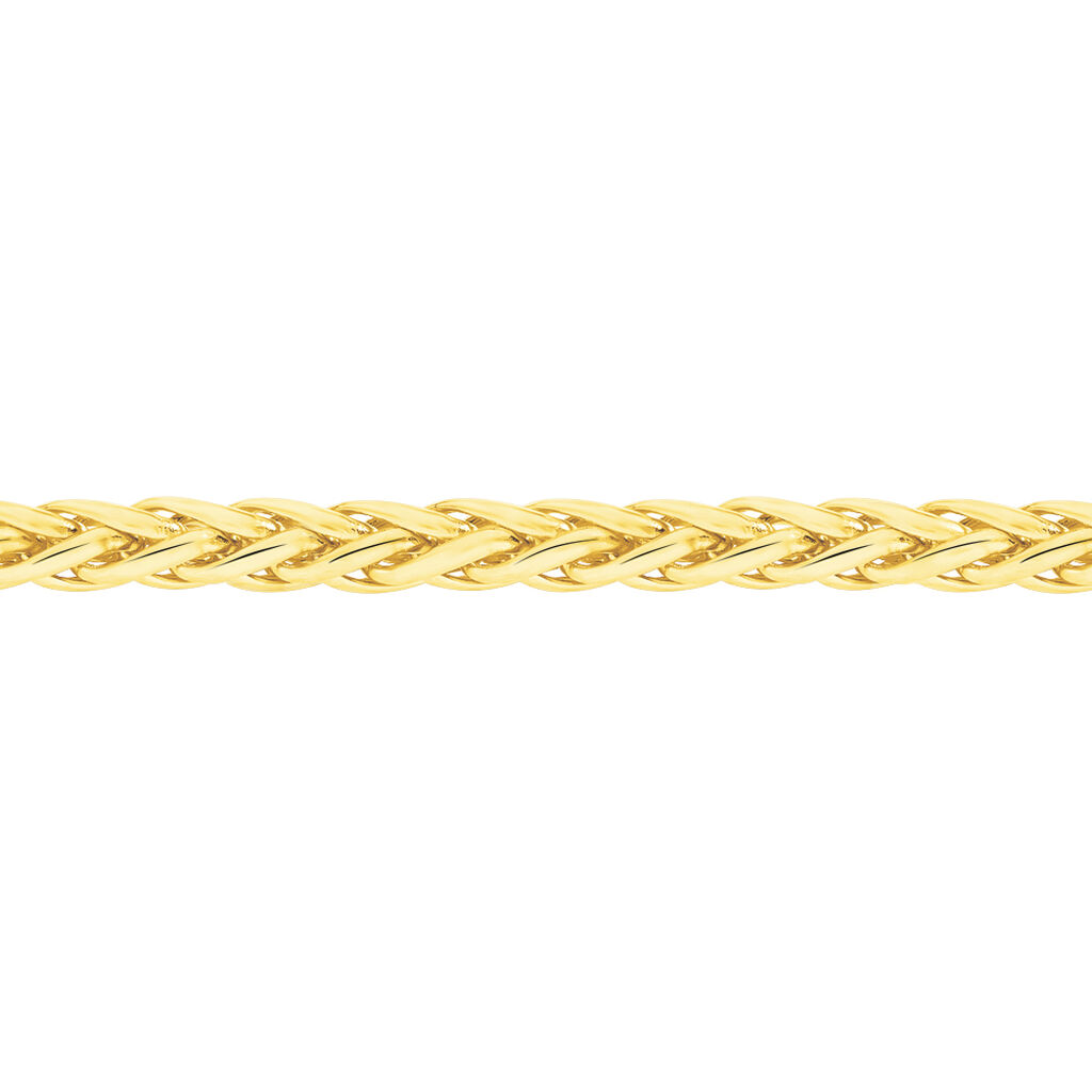 Collier Jany Maille Palmier Or Jaune - Chaines Femme | Marc Orian