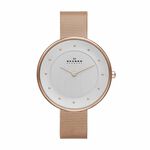 Montre Skagen Gitte Argent - Montres classiques Femme | Marc Orian
