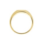 Chevali&egrave;re Plaqu&eacute; Or Jaune Ariston Email Noir - Chevali&egrave;res Homme | Marc Orian