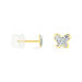 Boucles D'oreilles Puces Or Jaune Cercis Strass - Puces Famille | Marc Orian