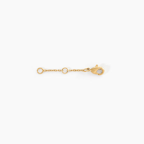 Cha&icirc;nette De Rallonge Plaqu&eacute; Or Jaune - Bijoux fantaisie Famille | Marc Orian
