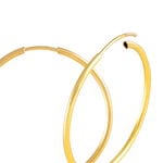 Cr&eacute;oles Dominae Or Jaune - Cr&eacute;oles Femme | Marc Orian