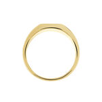 Chevali&egrave;re Plaqu&eacute; Or Jaune Ariston Email Noir - Chevali&egrave;res Homme | Marc Orian