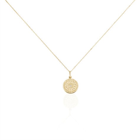 Collier Laurina Plaqué Or Jaune Oxyde De Zirconium - Colliers avec pierres Femme | Marc Orian