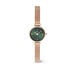 Montre Daniel Wellington Petite Mini Vert - Montres étanches Femme | Marc Orian