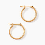 Cr&eacute;oles Anusha Plaqu&eacute; Or Dor&eacute; - Cr&eacute;oles Femme | Marc Orian