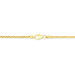 Collier Jany Danilo Maille Palmier Or Jaune - Chaines Femme | Marc Orian