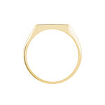 Chevali&egrave;re Lionel Plaqu&eacute; Or Jaune - Chevali&egrave;res Homme | Marc Orian