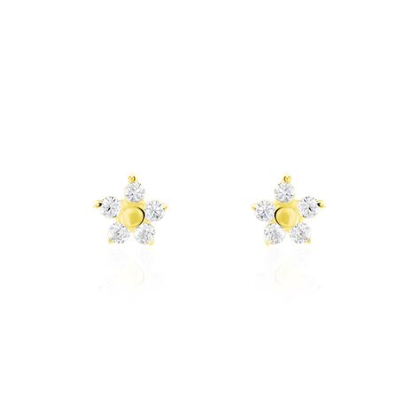 Boucles D'oreilles Puces Or Jaune Convallaria Oxydes - Puces Femme | Marc Orian