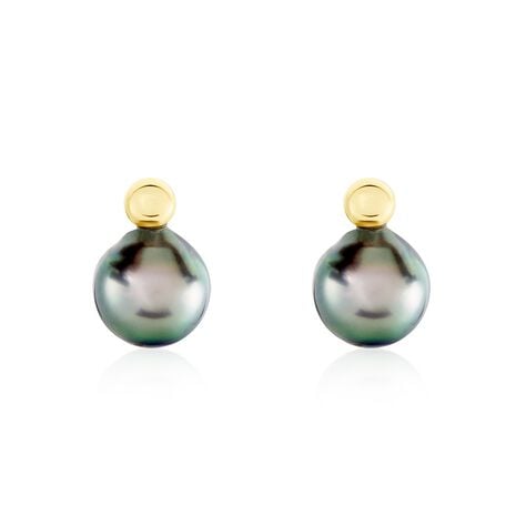 Boucles D'oreilles Puces Baroque Or Jaune Perle De Culture De Tahiti - Puces Femme | Marc Orian