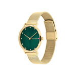 Montre Tommy Hilfiger Pippa Vert - Montres classiques Femme | Marc Orian