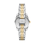 Montre Fossil Scarlette Mini Vert - Montres &eacute;tanches Femme | Marc Orian