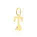 Pendentif Helidie Coccinelle Lettre Or Jaune - Pendentifs Enfant | Marc Orian