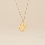 Collier Iago Plaqu&eacute; Or Oxydes De Zirconium - Colliers avec pierres Femme | Marc Orian