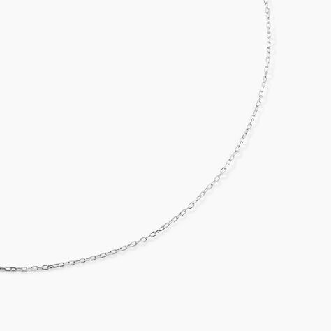 Chaîne Ilan Maille Forçat Ronde Or Blanc - Chaines Famille | Marc Orian