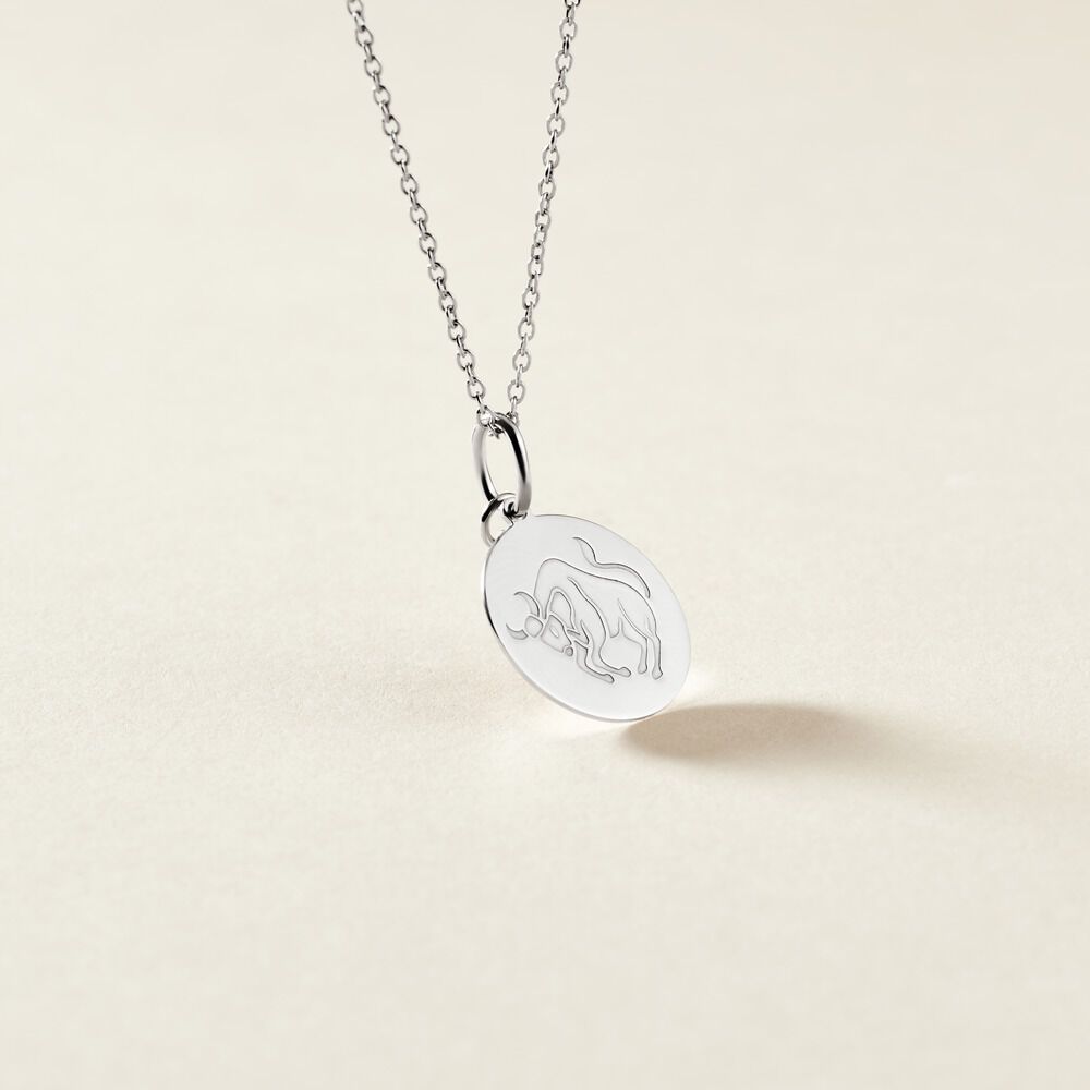 Pendentif Zodiaque Rond Argent Blanc - Bijoux personnalis&eacute;s Famille | Marc Orian