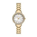 Montre Emporio Armani Nacre Blanche - Montres &eacute;tanches Femme | Marc Orian