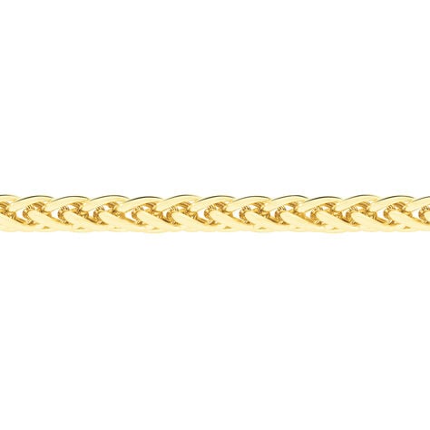 Collier Jany Danilo Maille Palmier Or Jaune - Chaines Femme | Marc Orian