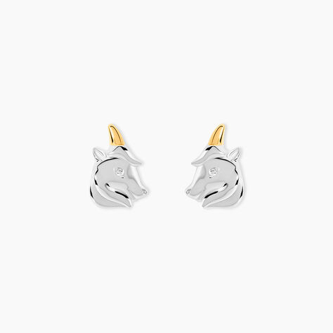 Boucles D'Oreilles Puces Or Jaune Argent Blanc - Puces Femme | Marc Orian
