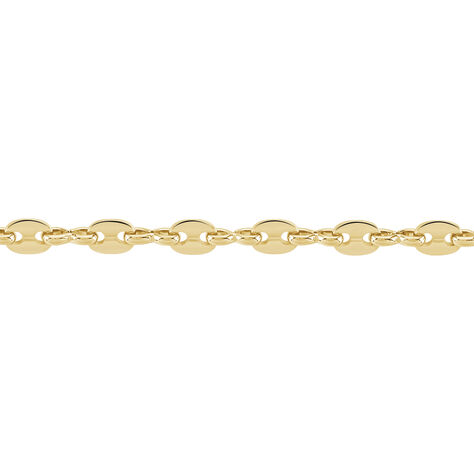 Collier William Plaqué Or Jaune - Chaines Femme | Marc Orian