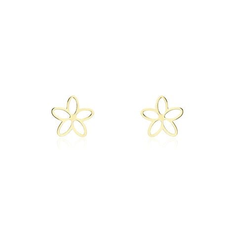 Boucles D'oreilles Puces Dacre Or Jaune - Puces Femme | Marc Orian