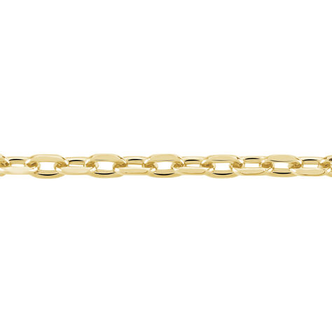 Chaîne Vince Plaqué Or Jaune - Chaines Femme | Marc Orian