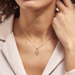 Collier Lucian Plaqu&eacute; Or Oxyde De Zirconium - Colliers avec pierres Femme | Marc Orian