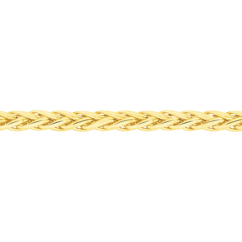 Collier Jany Maille Palmier Or Jaune - Chaines Femme | Marc Orian