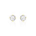 Boucles D'oreilles Puces Eddie Or Jaune Oxyde De Zirconium - Puces Femme | Marc Orian