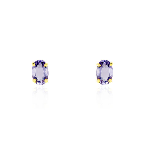 Boucles D'oreilles Puces Elea Serti Griffe Or Jaune Amethyste - Clous d'oreilles Femme | Marc Orian