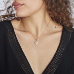 Collier Lisea Plaqu&eacute; Or Oxydes De Zirconium - Colliers avec pierres Femme | Marc Orian